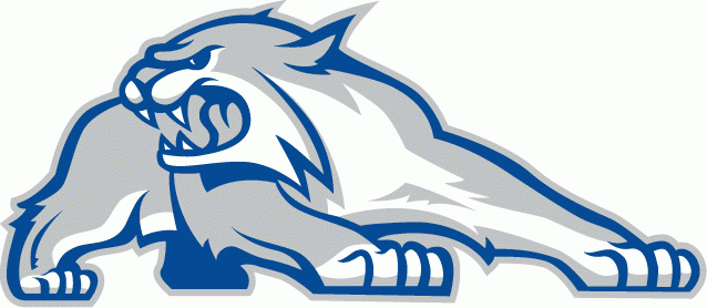 New Hampshire Wildcats 2000-Pres Alternate Logo v2 iron on transfers for T-shirts